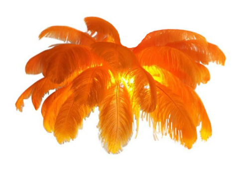 orange feather ceiling lamp