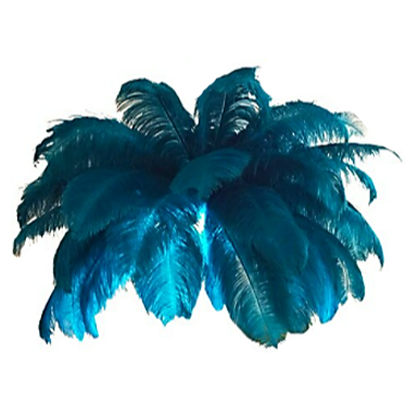 blue feather ceiling lamp