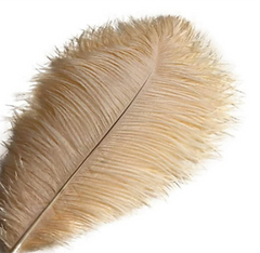 beige feather ceiling lamp