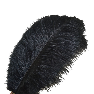black feather ceiling lamp